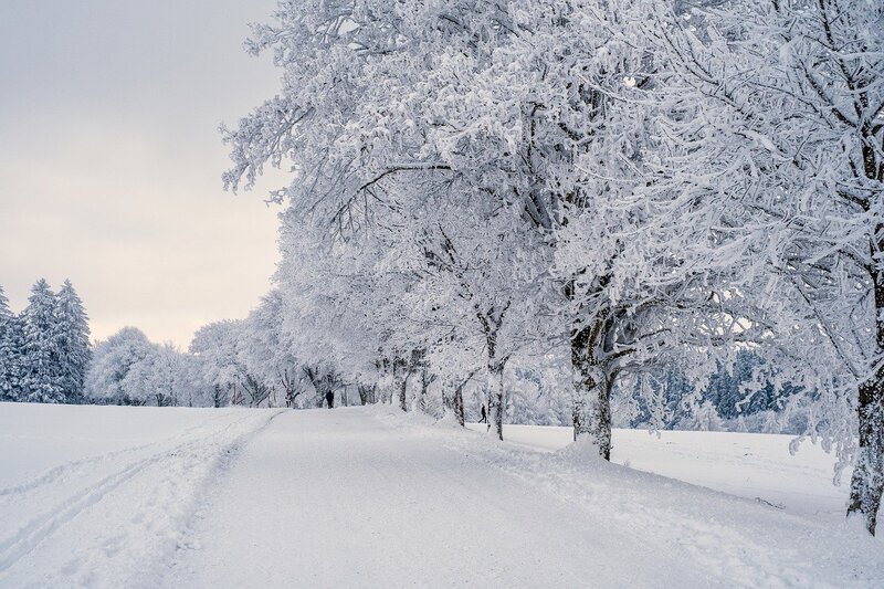 「小雪」と「大雪」の意味